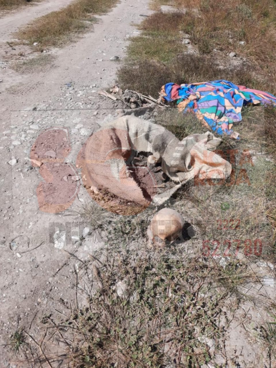 Hallan osamenta tras posible ritual de santería en Alseseca, Tecamachalco