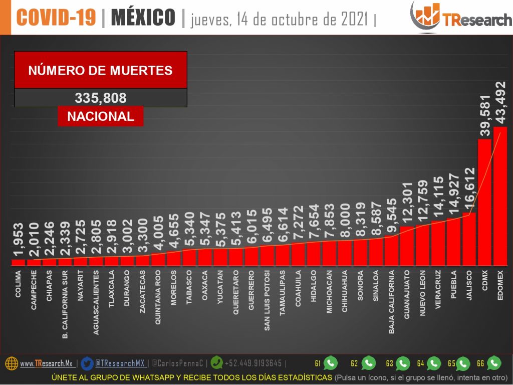 Ayer se sumaron 381 muertos por Covid19 en el país
