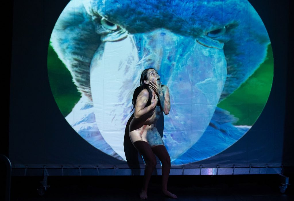 Concerniente al albedrío se presentó con gran éxito en el marco del FIT CDMX y llega este 2 y 3 de diciembre a la muestra nacional de teatro