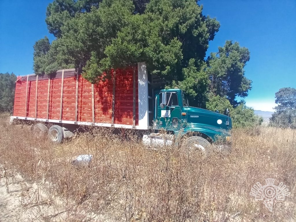 Recupera policía estatal camión cargado con pollo