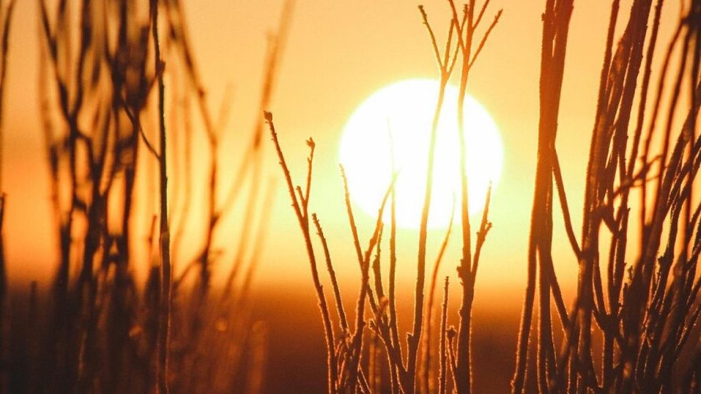 Los últimos siete años, los más cálidos de la historia