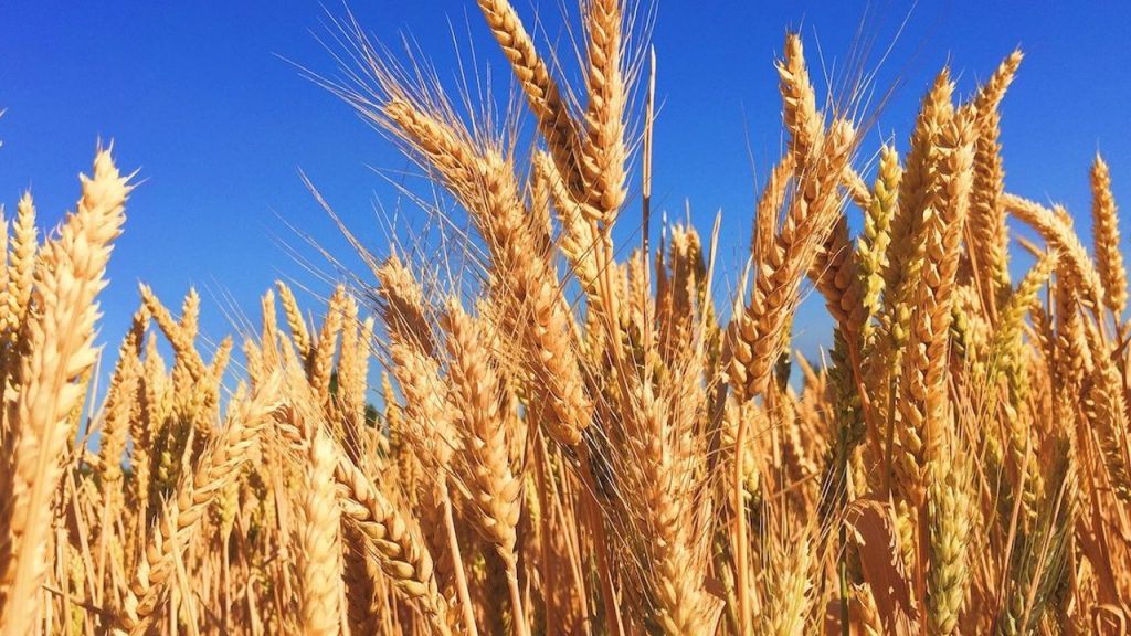 El precio de los alimentos sube a niveles no vistos desde hace una década