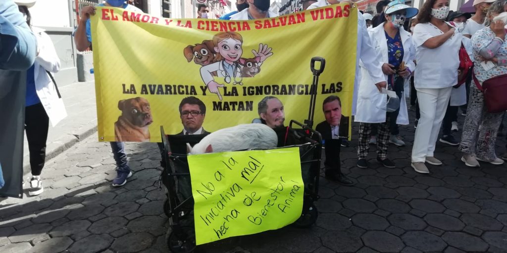 Veterinarios protestan contra propuesta de ley de Bienestar Animal