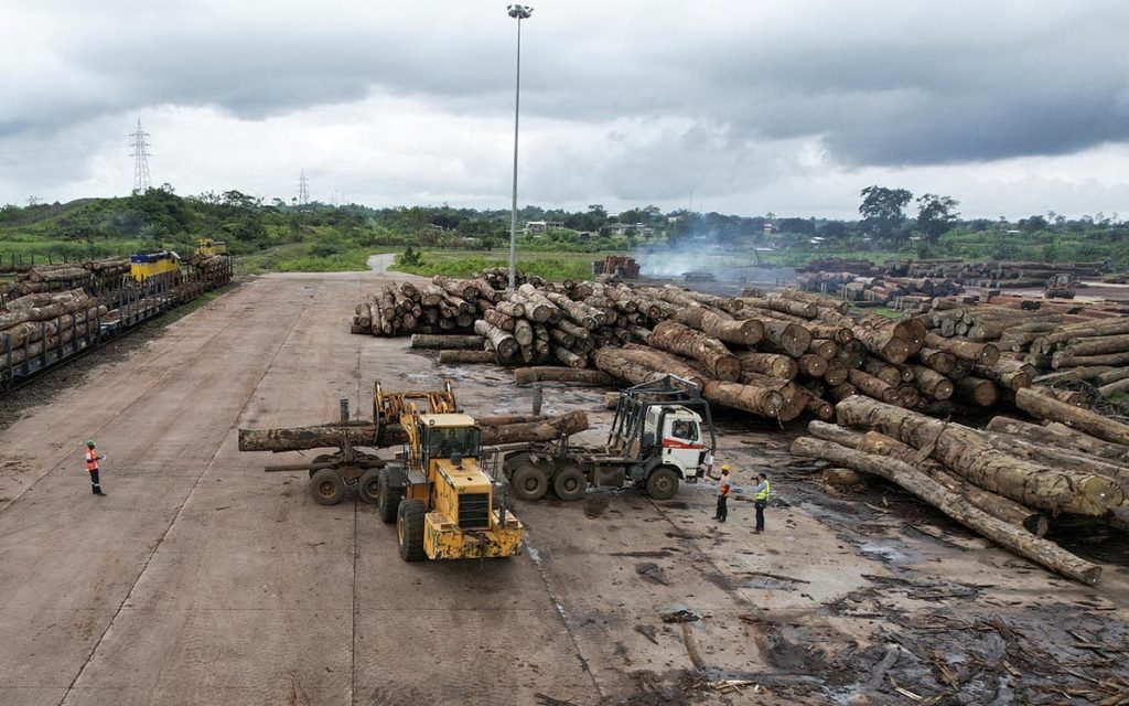 COP26: México se suma al acuerdo contra la deforestación mundial; conoce el documento