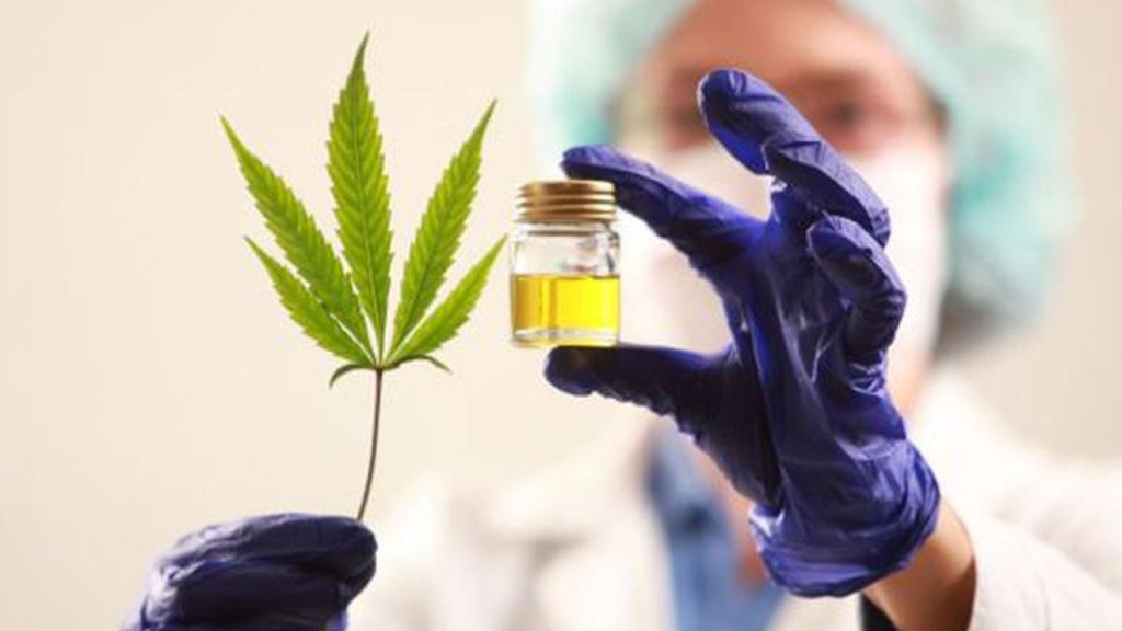 México con potencial para convertirse en el segundo o tercer mercado más grande del mundo de cannabis medicinal y de grado farmacéutico