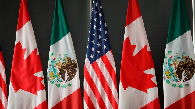 México dividido: Ricardo Homs