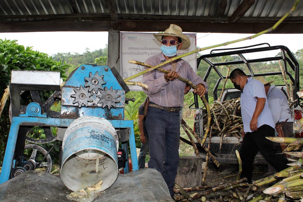Capacita SDR a productores cañeros para fabricación de piloncillo en Cuetzalan