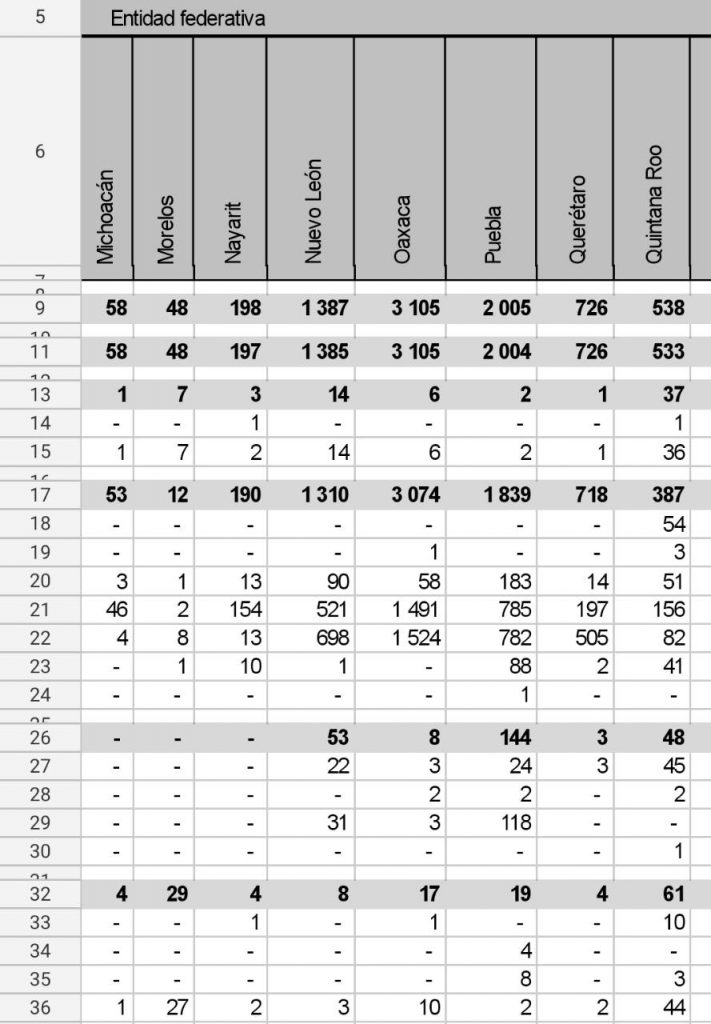 De Guatemala, Honduras y El Salvador, la mayoría de migrantes devueltos a sus países desde Puebla: Gobernación federal