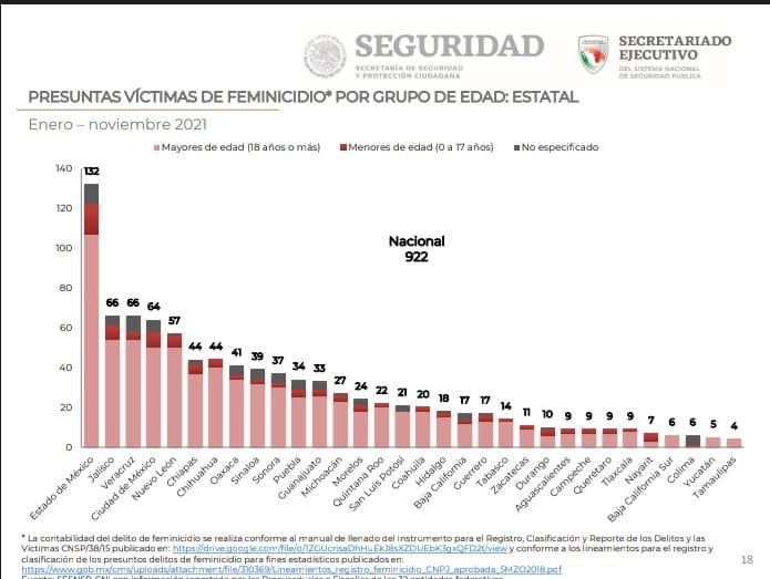 Aumentaron los feminicidios en México en 2020: SNSP