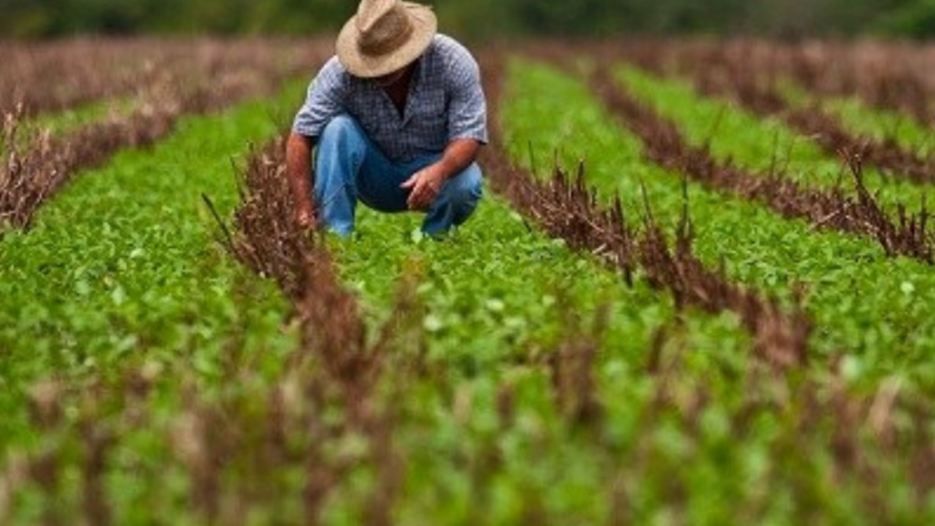 Muchos apoyos al campo reconocidos en el tercer informe de gobierno