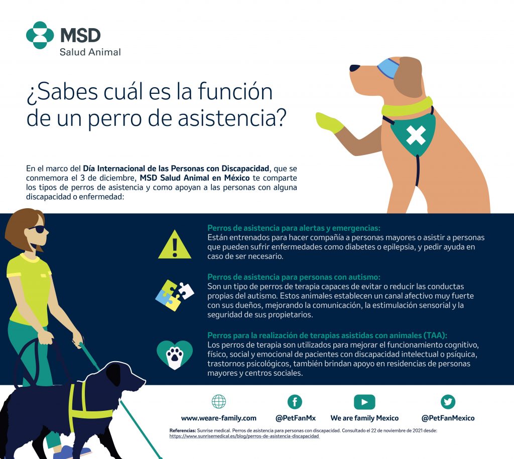 Perros de servicio, aliados de las personas con discapacidad