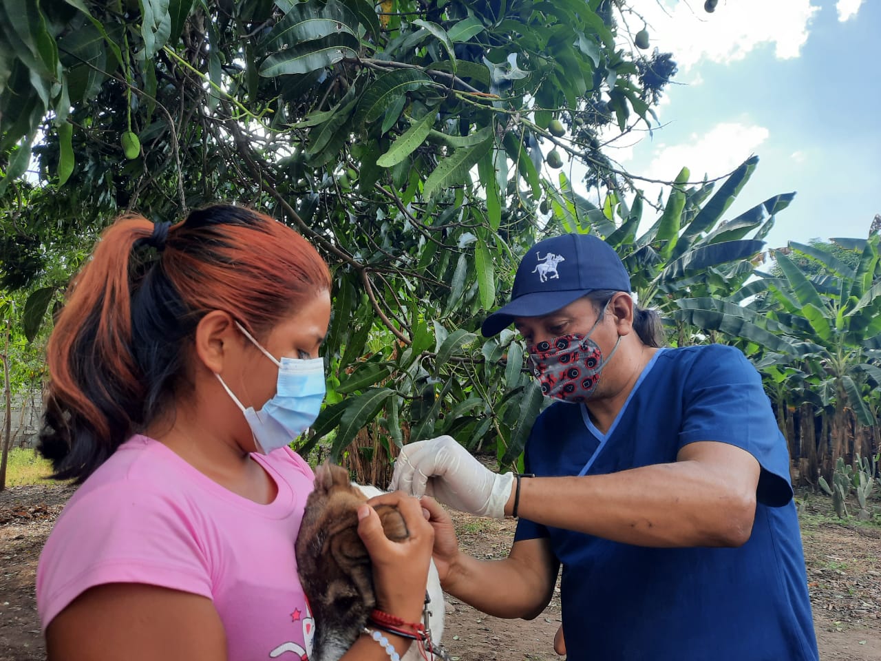 Inicia en Tapachula la campaña de vacunación antirrábica
