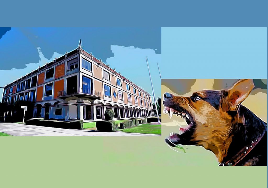 Guillermo Jenkins, cuando el perro es bravo