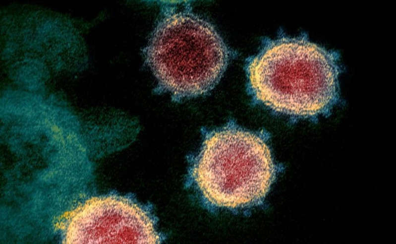 ¿Nueva arma contra el Covid?: descubren molécula capaz de bloquear todas las variantes