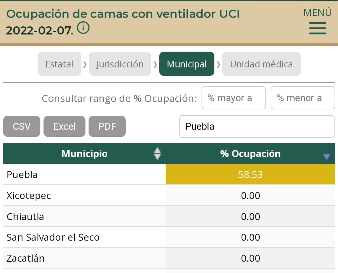 Puebla capital, Izúcar, Zacatlán y San Andrés Cholula, entre los municipios de la entidad con más porcentaje de pacientes en hospitales: Red Irag