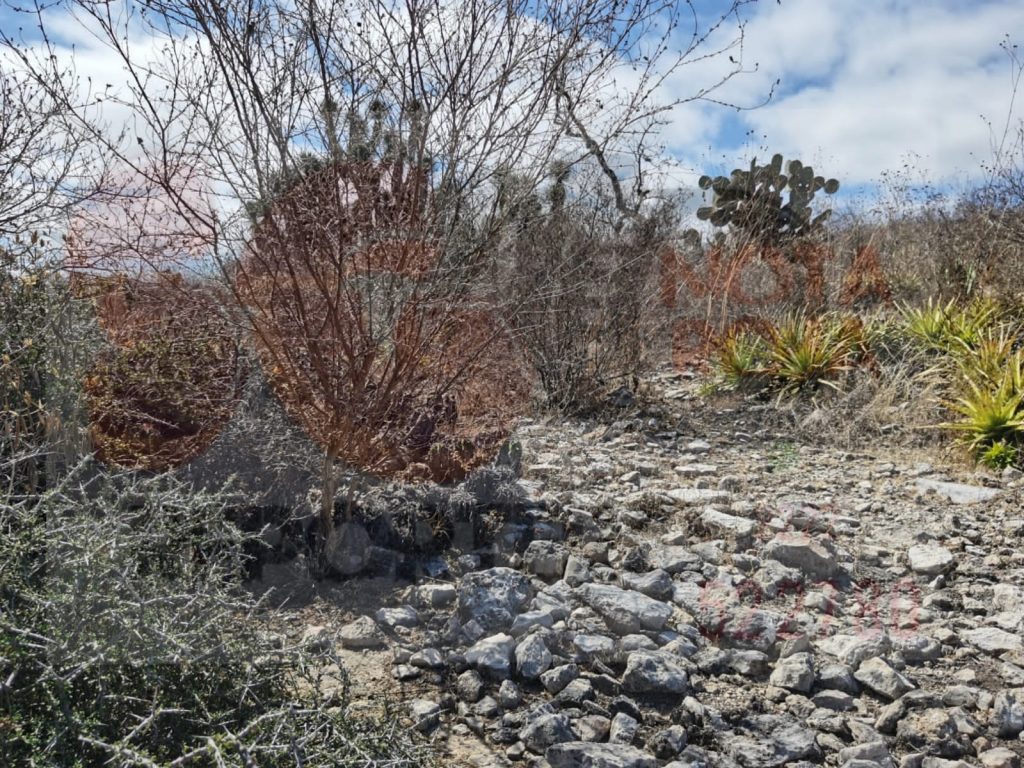 En monte de Tehuacán fue hallado un hombre sin vida