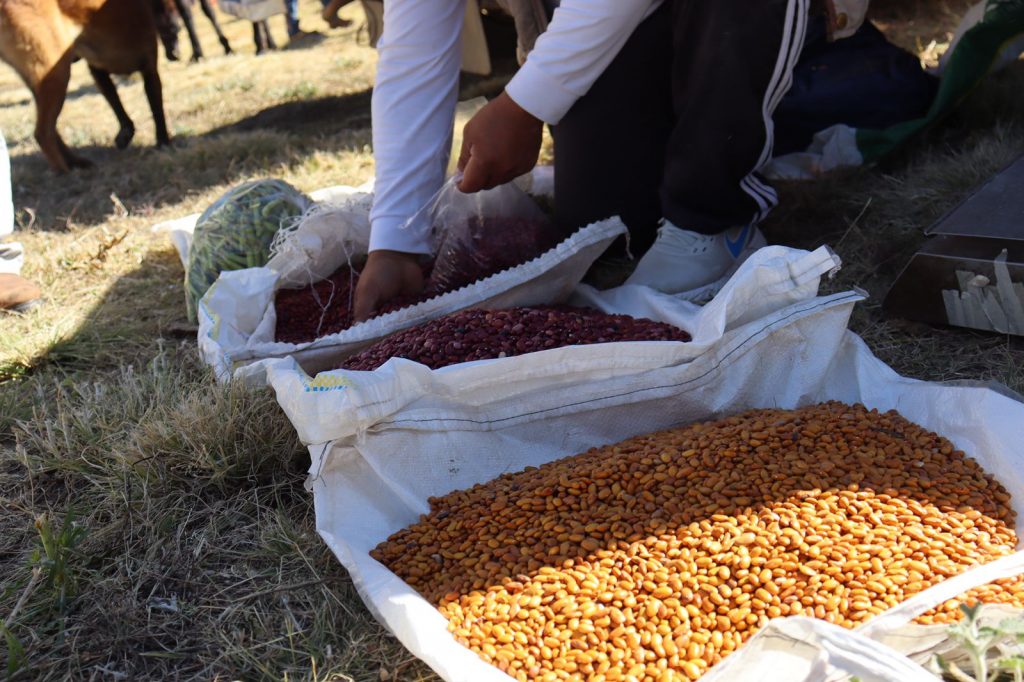 Inicia funciones el primer mercado  ganadero municipal de Zautla