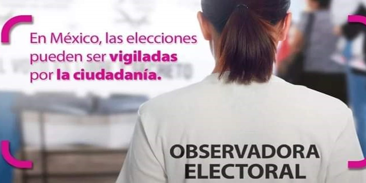 19 de febrero, fecha límite para registrarse como observadores/as electorales en las elecciones extraordinarias