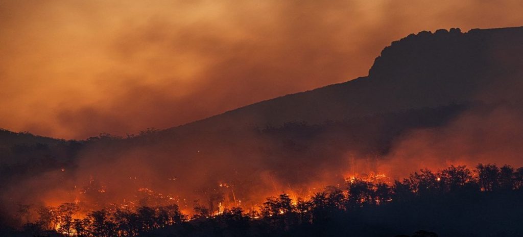 Los incendios forestales aumentarán un 30% para 2050 y un 50% para fin de siglo debido a la crisis climática