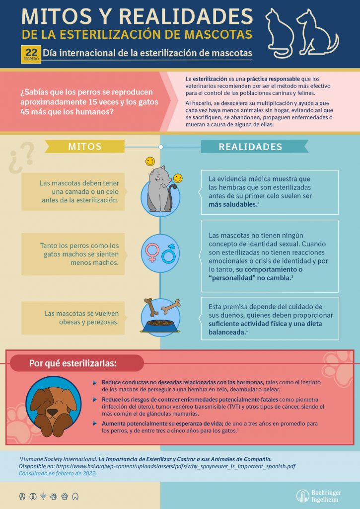 Día mundial de la esterilización de mascotas: Los mitos y beneficios de la esterilización