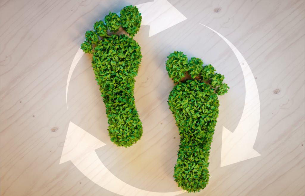 ¿Qué es la huella ecológica y cómo puedes reducirla en tu hogar