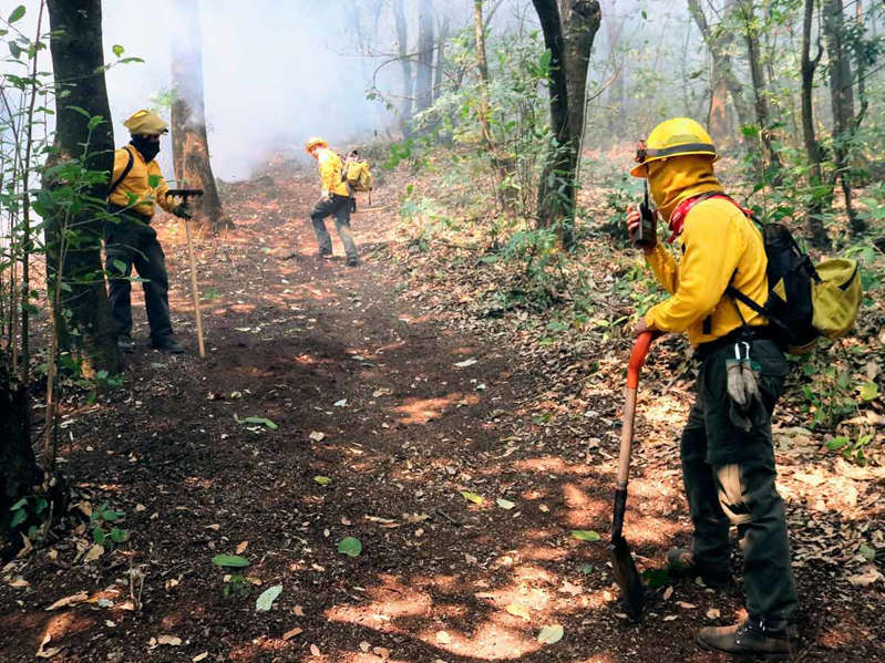 Arde México: reportan 33 incendios forestales activos