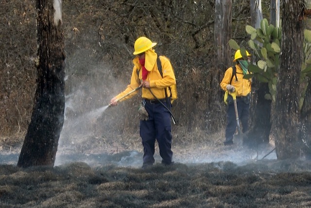 Mejora capacidades Medio Ambiente para atender incendios forestales