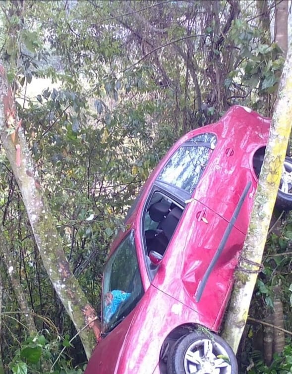 Desde Huauchinango: Joven terminó con su auto en la copa de un árbol