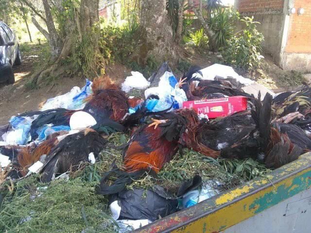 Desde Teziutlán: Ayuntamiento retira montoneras de basura tras recibir reportes ciudadanos