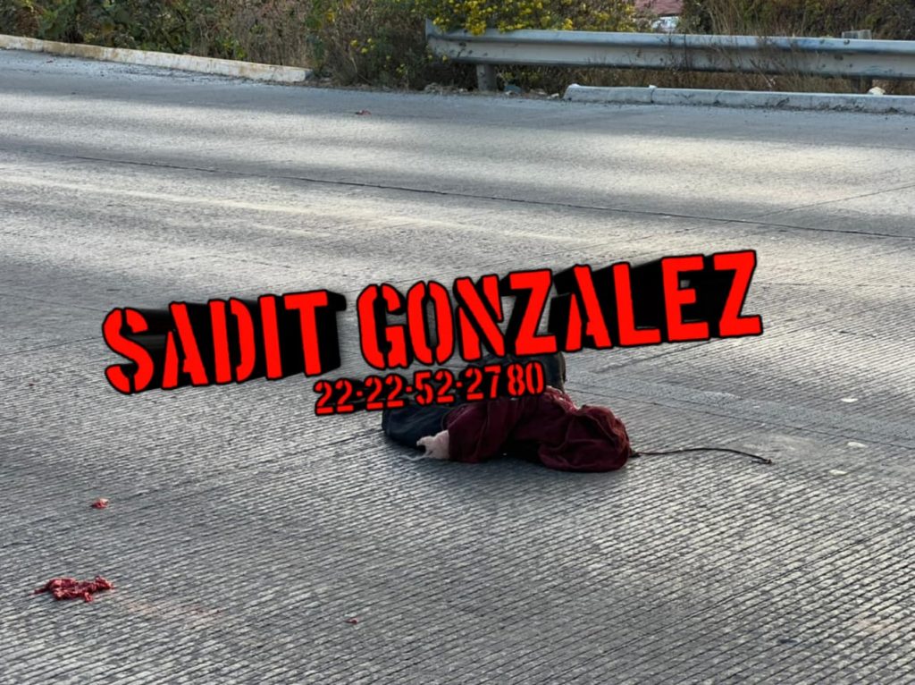 Atropellan y destrozan el cuerpo de una persona en periférico ecológico