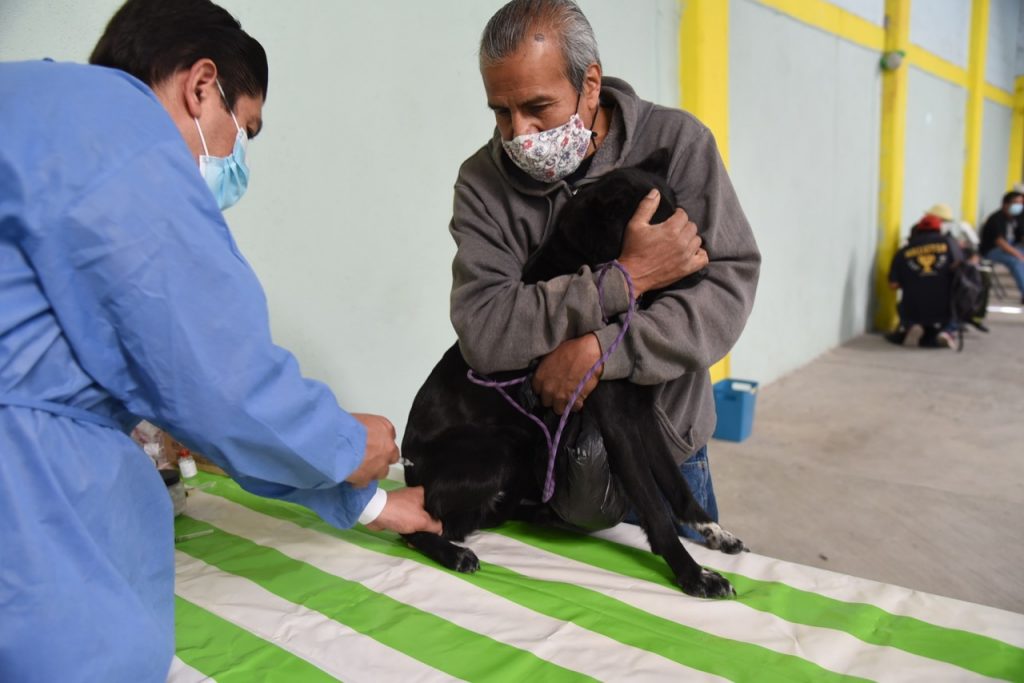 Realizarán jornada de vacunación antirrábica en Tlaxcala capital