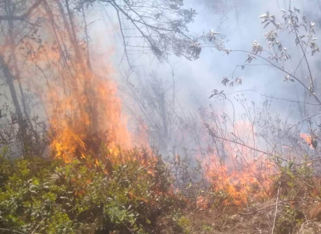 Fotonota: Reportan peligroso incendio forestal en Naupan