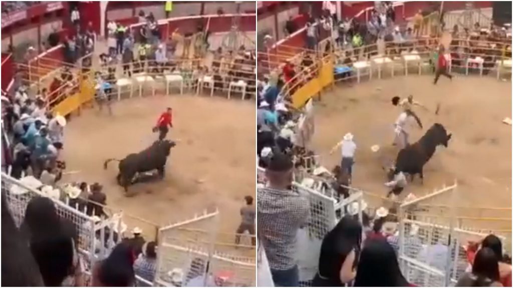 “¡Paramédicos, urgente!”: Toro pisa en repetidas ocasiones a jinete en la Plaza de Toros de Morelia
