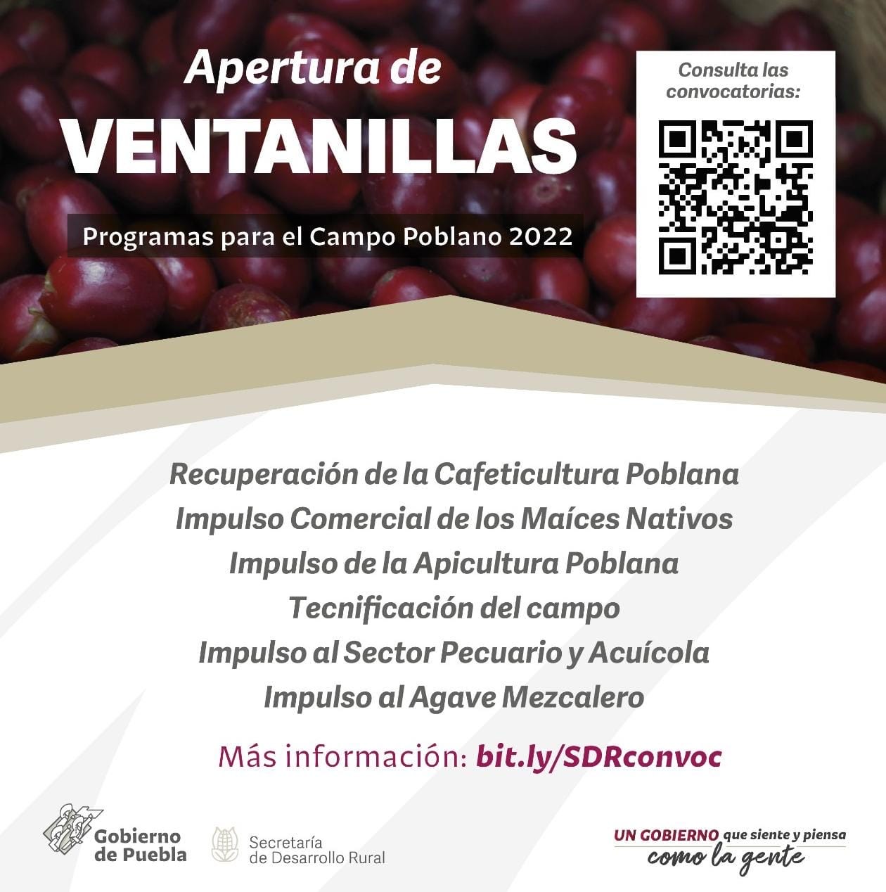 Mil 350 hectáreas de cultivos afectadas por las lluvias en Puebla: Desarrollo Rural