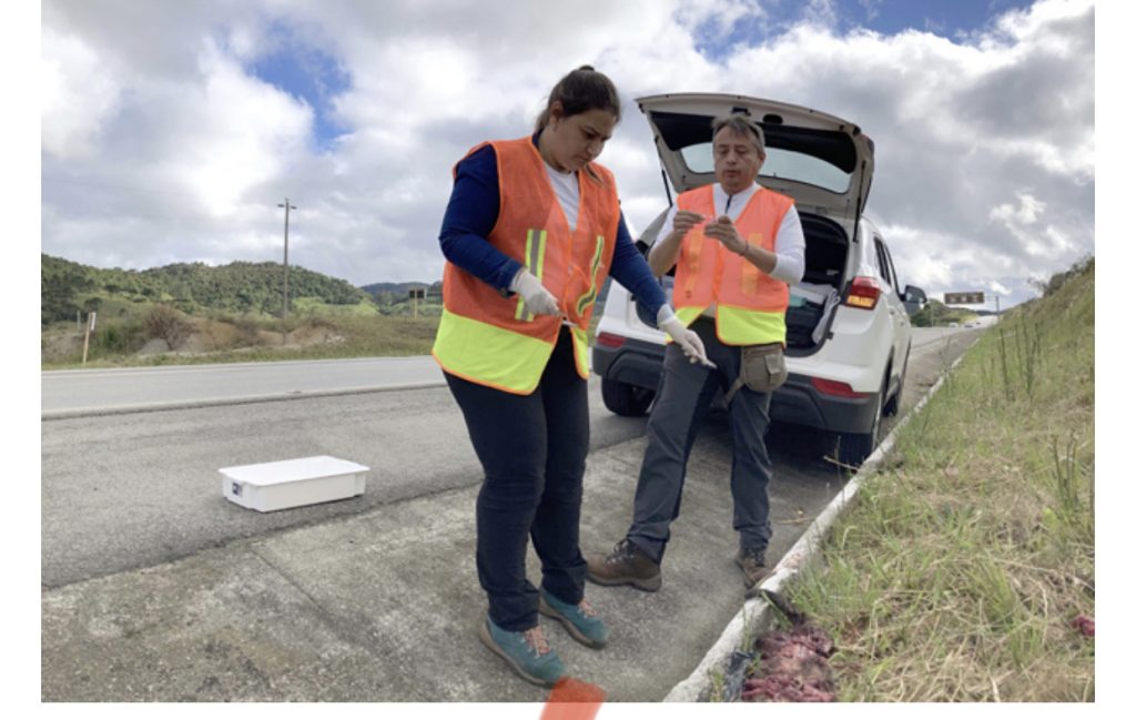 Investigador BUAP estudia patógenos en animales silvestres de Brasil que potencialicen enfermedades como la lepra