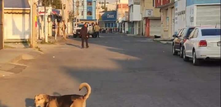 Hallan cadáver de mujer dentro de camioneta robada en Texmelucan