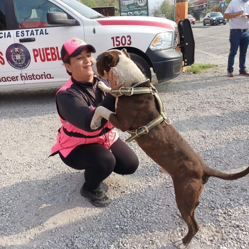 Pruebas demostraron que Coffy no mató al indigente de Xicotepec: Defensora de animales