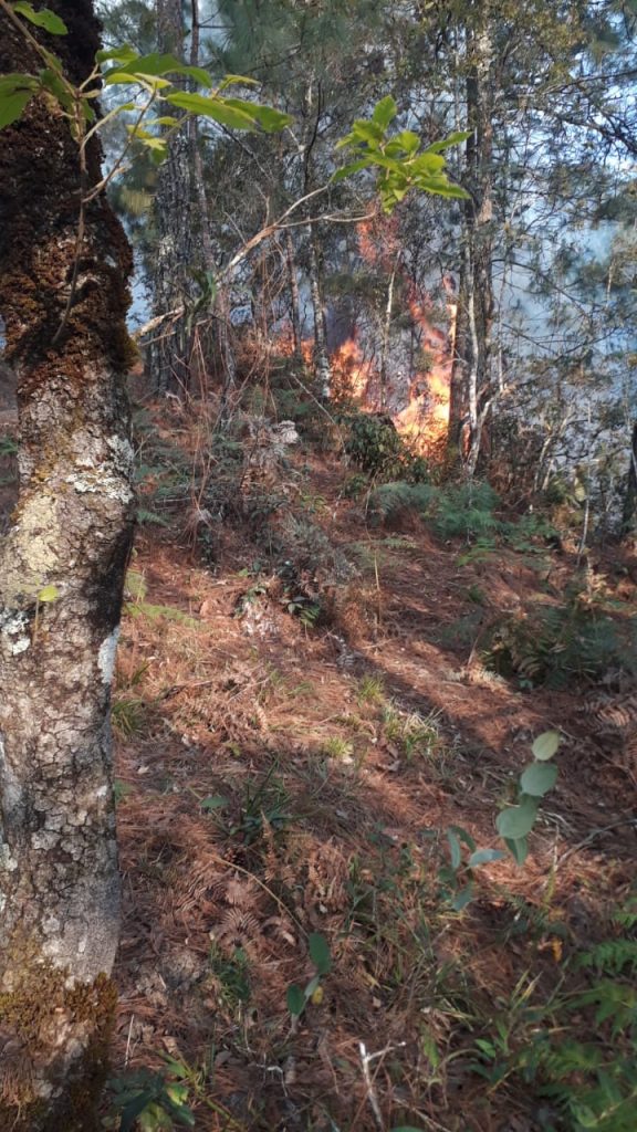 Video desde Puebla: Reportan peligroso incendio forestal en Huauchinango