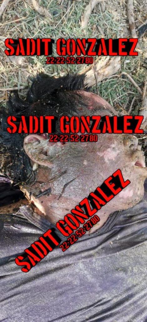 Hallan otro cadáver en canal de Valsequillo en San Gabriel Tetzoyocan