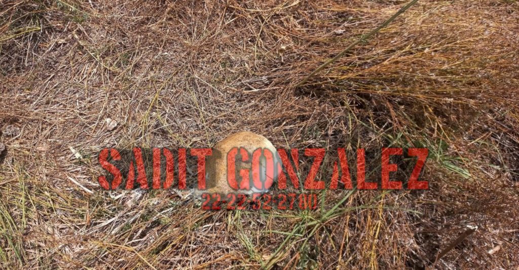 Localizan cráneo humano en San Andrés Cholula