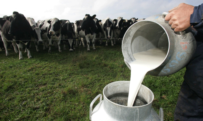 Ayudas estatales: la Comisión aprueba un régimen de ayudas español por valor de 169 millones de euros en apoyo de los productores de leche en el contexto de la invasión rusa de Ucrania