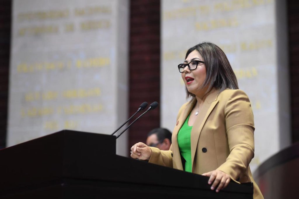 No pasó la Reforma Eléctrica y votamos en abstención la Ley Minera porque nos quieren dar un albazo legislativo: Genoveva Huerta