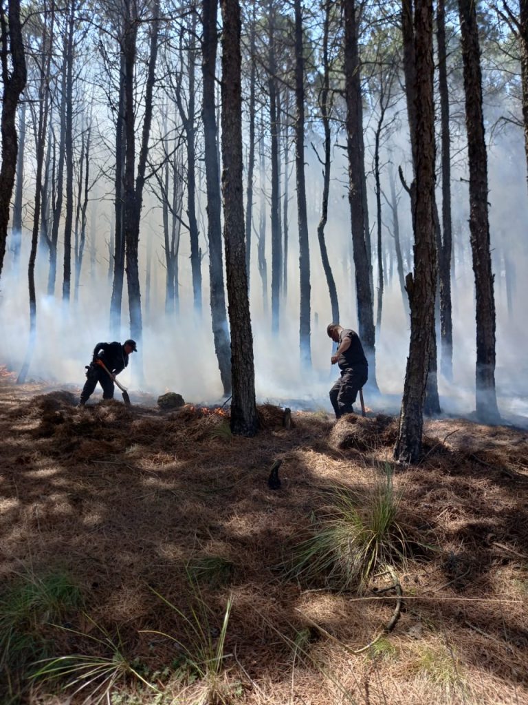 Ahora ascienden a 12 las hectáreas perdidas en Xiutetelco por incendios, llaman  a la población a evitar cualquier tipo de quemas
