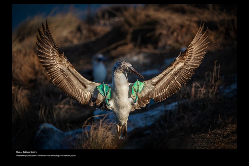 “México en una Imagen”, en el Museo del Ferrocarril
