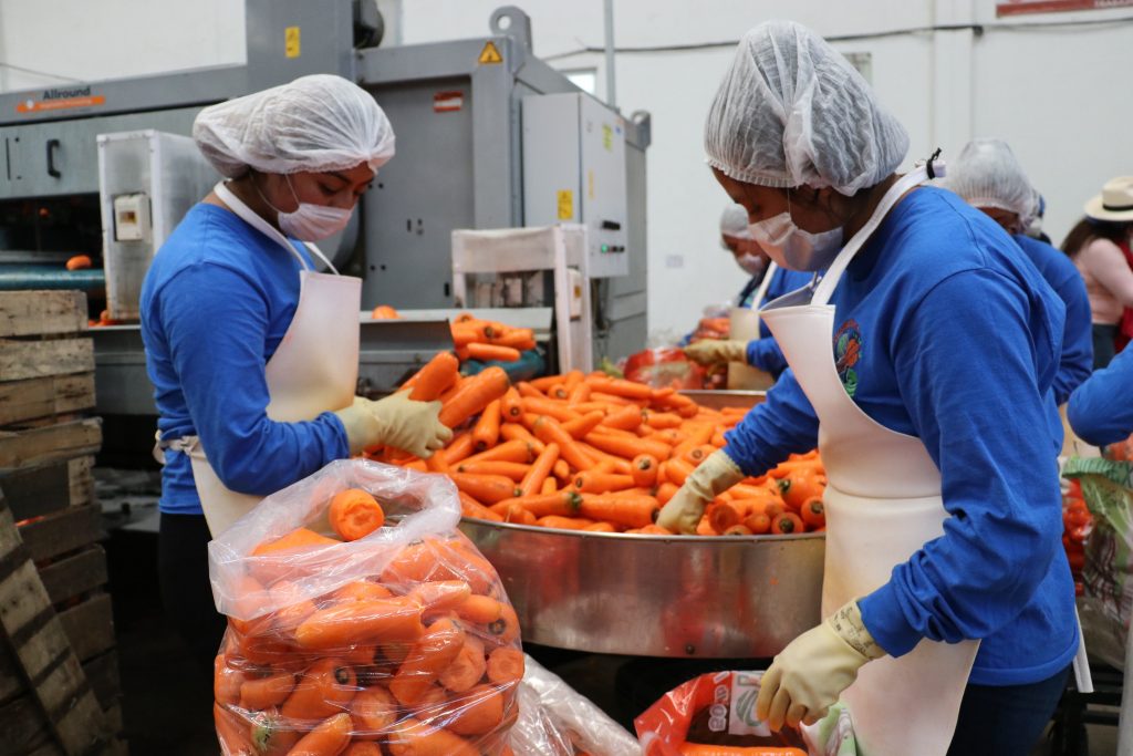 2021, año récord para Puebla en exportaciones de textiles, prendas y agricultura: Economía