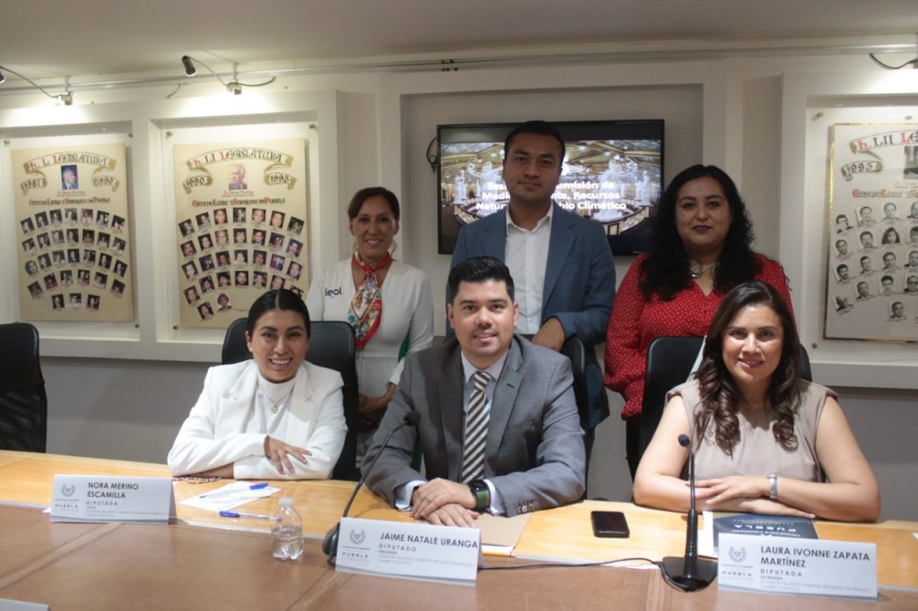 Aprueba Comisión del Congreso del Estado exhorto para promover el respeto y bienestar animal