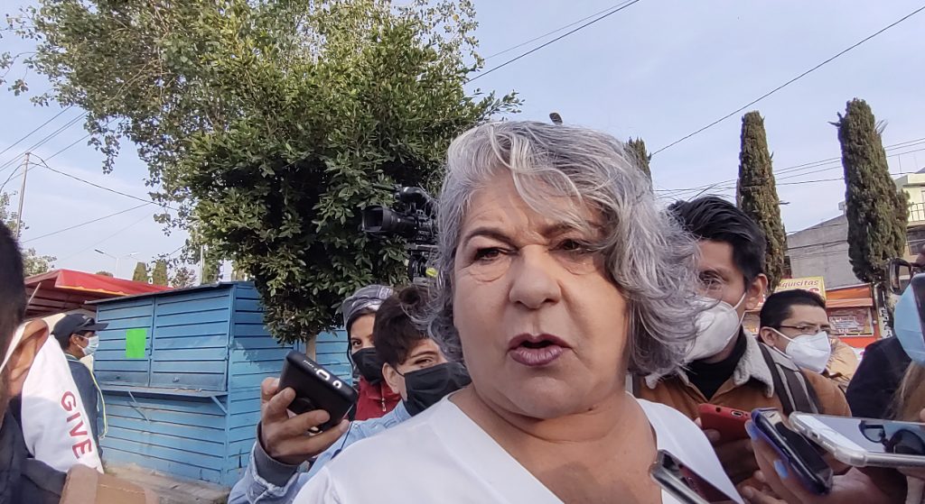 Algunas palmeras y árboles están enfermos en avenida Juárez, Analco y 5 de mayo: Arabian