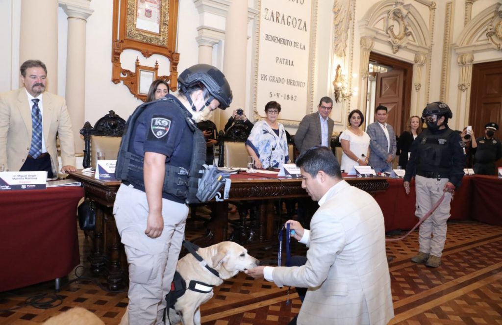 Se jubilan con honores 16 perros policías que sirvieron fielmente por más de siete años