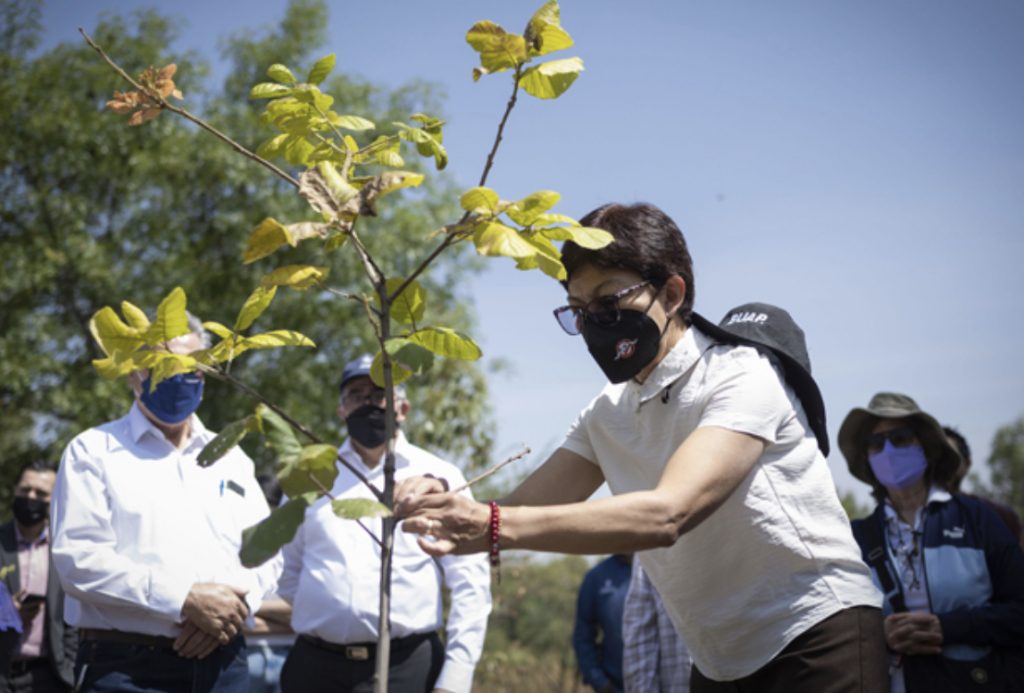 Celebra la Rectora Lilia Cedillo Ramírez 35 años del Jardín Botánico Universitario