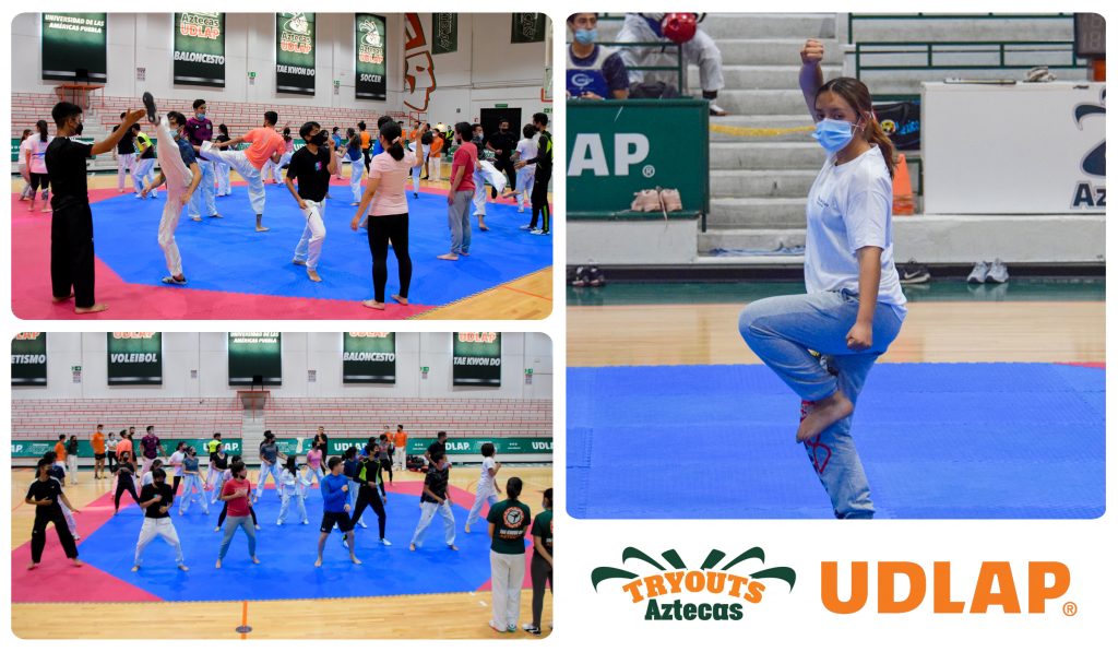 La Tribu Verde de taekwondo tuvo un preludio de la temporada 2022-2023